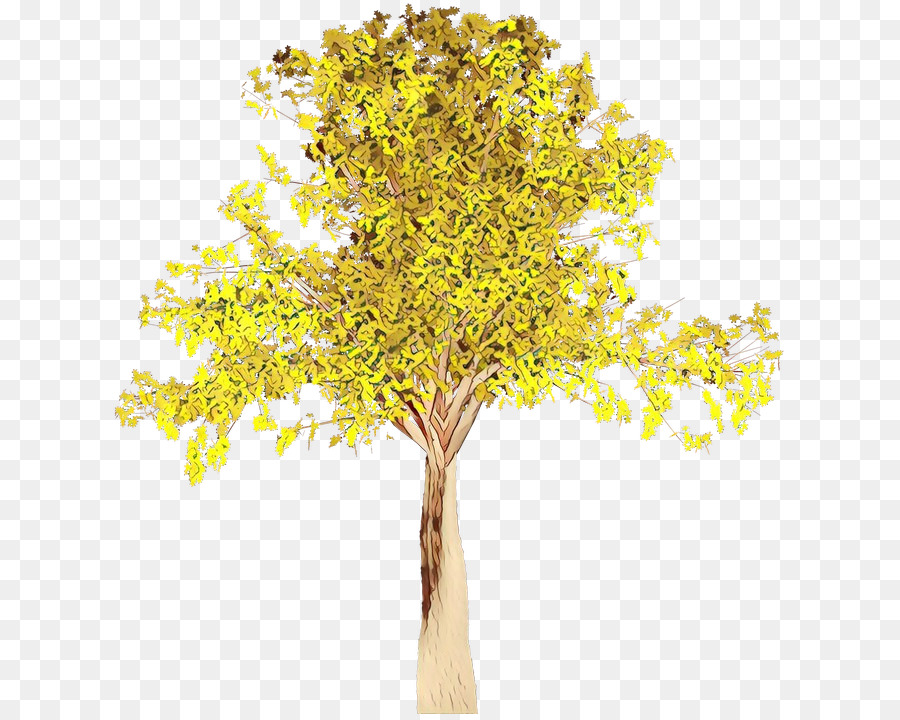 Arbre，Automne PNG