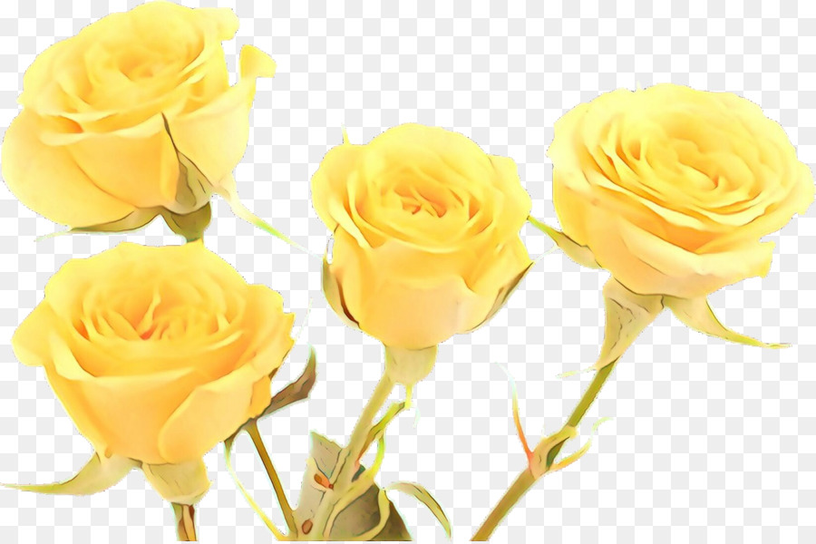 Roses Jaunes，Roses PNG