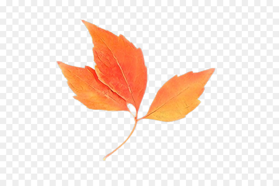 Feuilles D'automne，Automne PNG