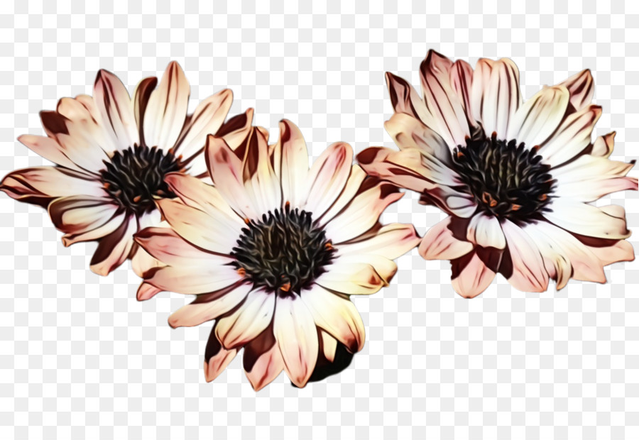 Pétale，Fleur PNG