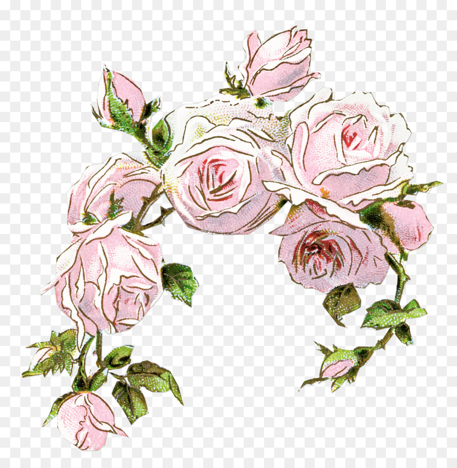 Roses Roses，Bouquet PNG