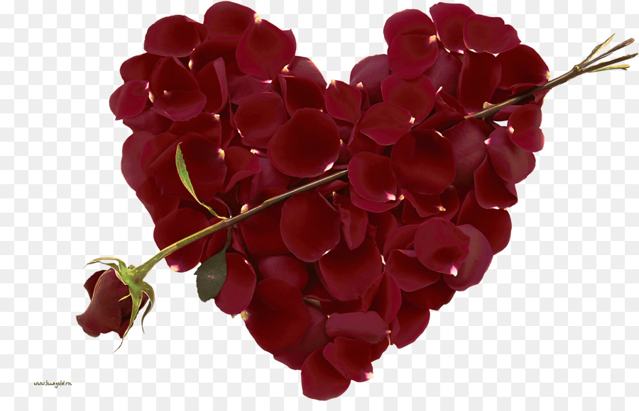 Coeur De Roses，Amour PNG