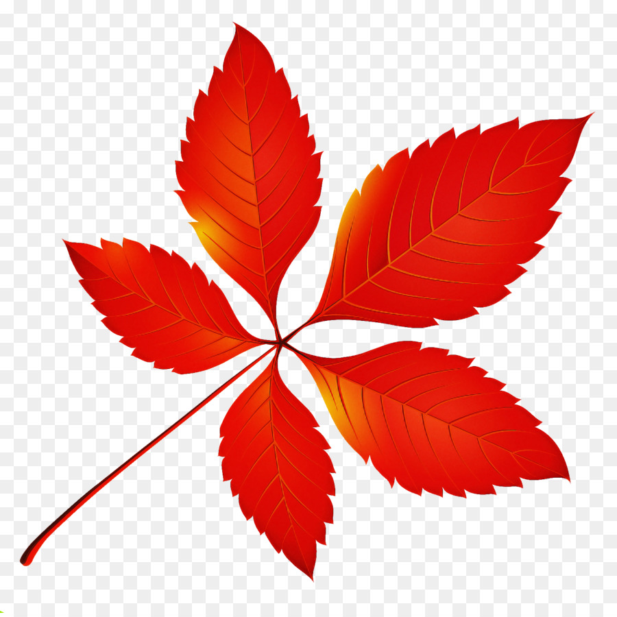 Feuille，Automne PNG