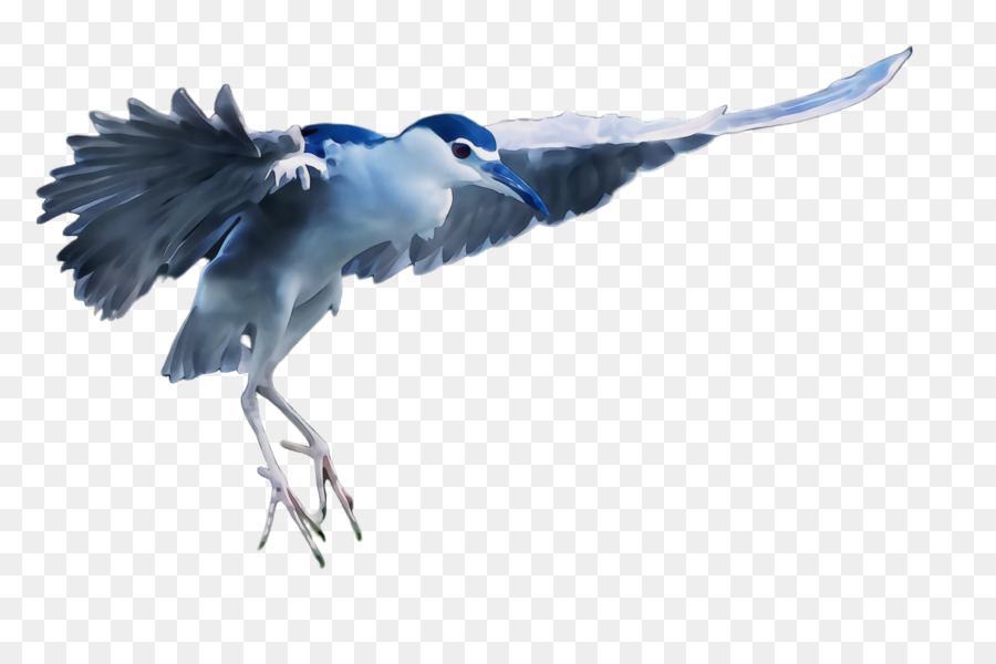 Oiseau，Grand Héron Bleu PNG