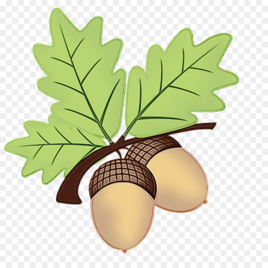 Feuille，Arbre PNG