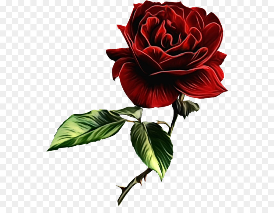 Fleur Rose，Tige PNG