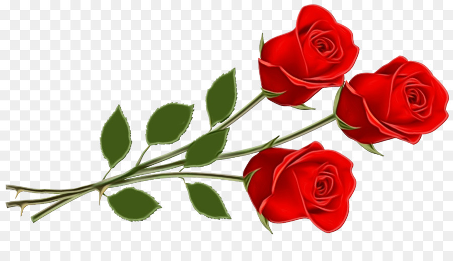 Roses Rouges，Fleurs PNG