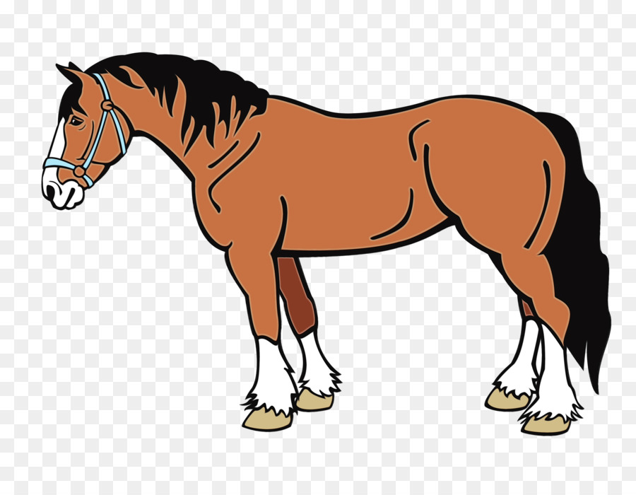 Cheval，équidé PNG