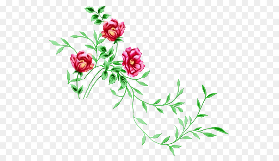 Fleurs，Fleurir PNG