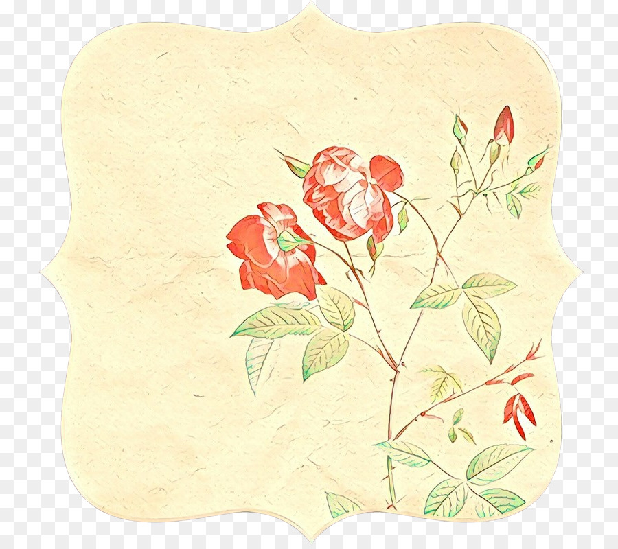 Fleur，Rose PNG