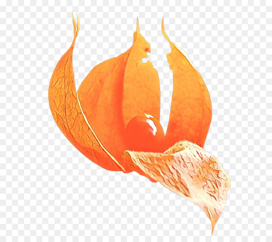 Orange，Usine PNG
