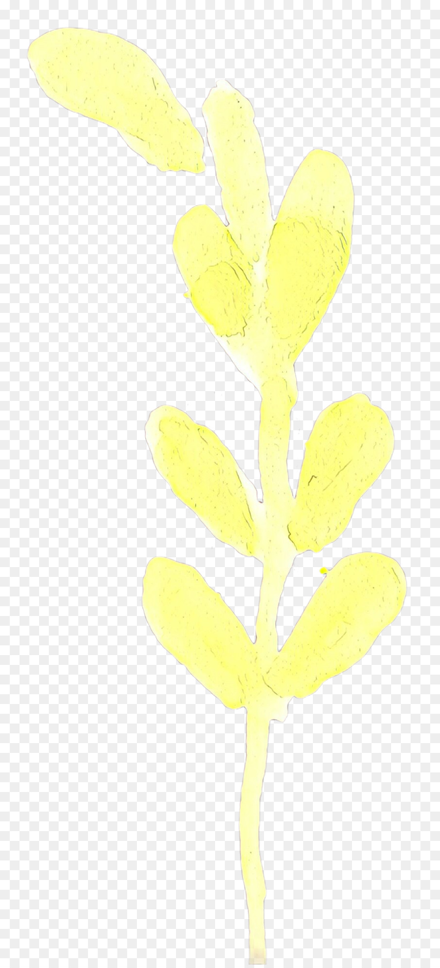 Jaune，Fleur PNG