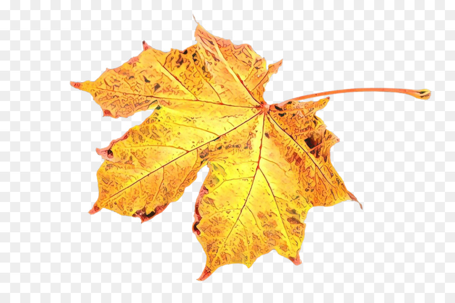 Feuilles Brunes，Automne PNG