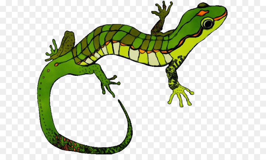 Reptile，Lézard PNG