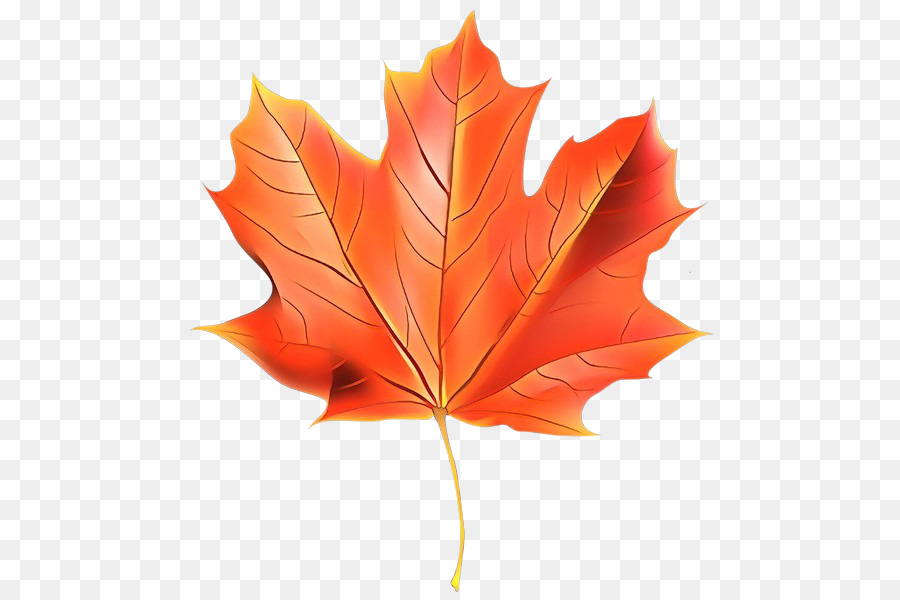 Feuille Rouge，Automne PNG