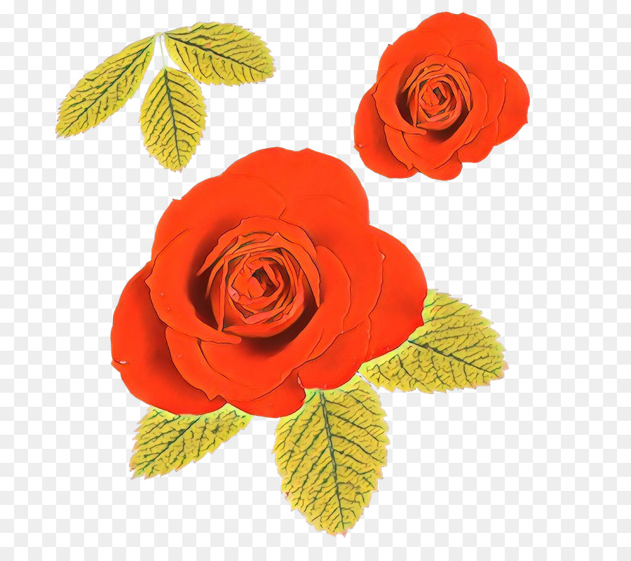 Rose Rouge，Floraison PNG