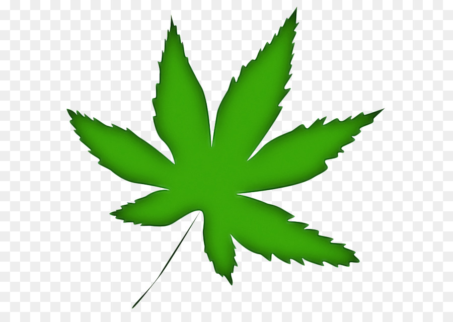 Feuille De Cannabis，Cannabis PNG