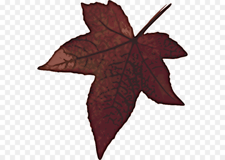 Feuille，Automne PNG