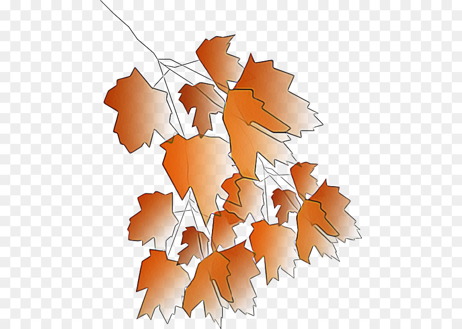 Feuille，Arbre PNG