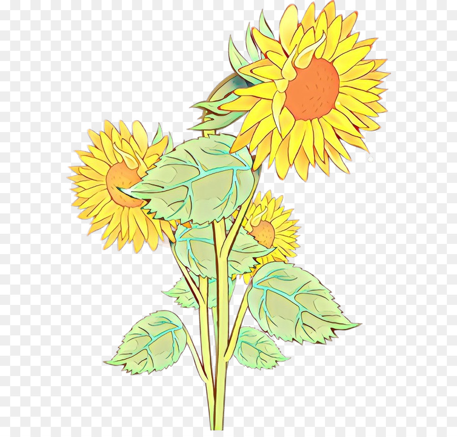 Tournesols，Fleurs PNG