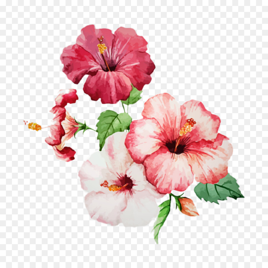 Fleurs Roses，Fleurir PNG