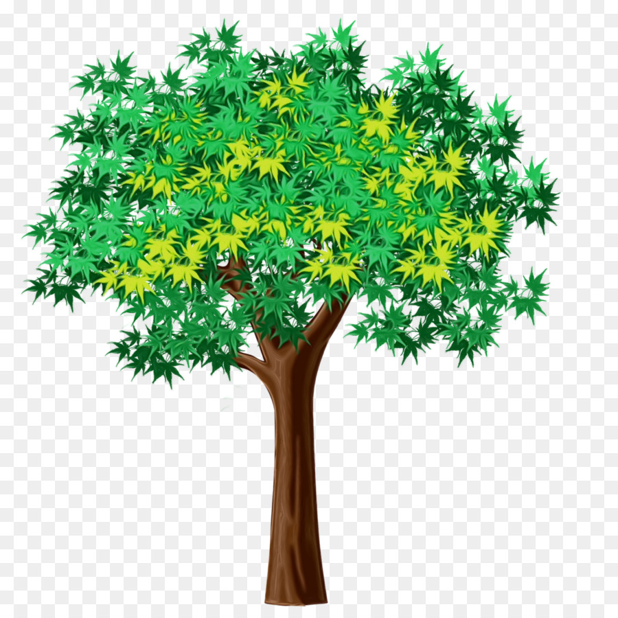 Arbre，Usine PNG