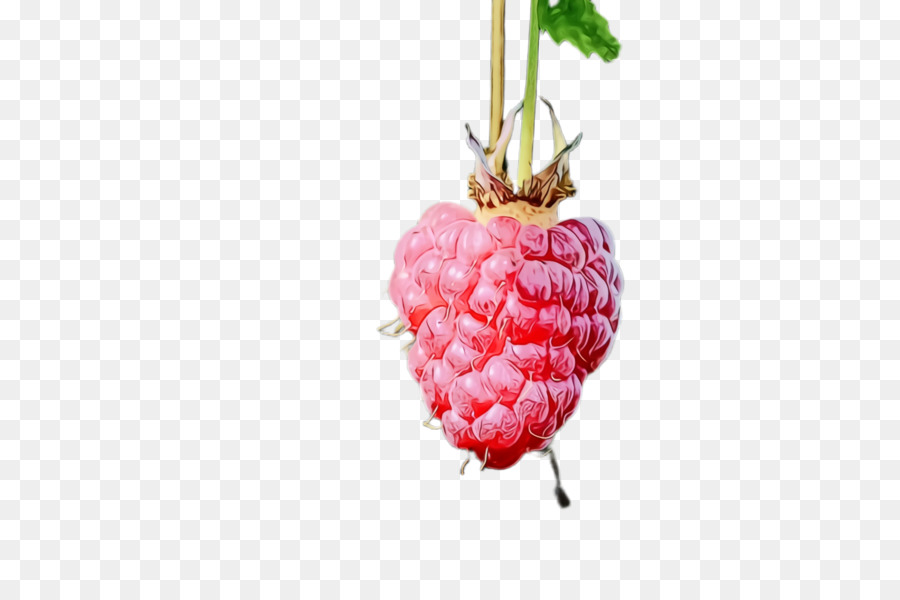 Fruit，Framboise PNG