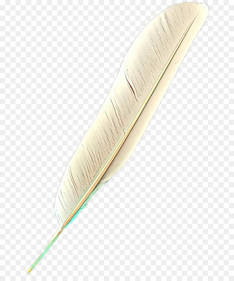 Plume，Penne PNG
