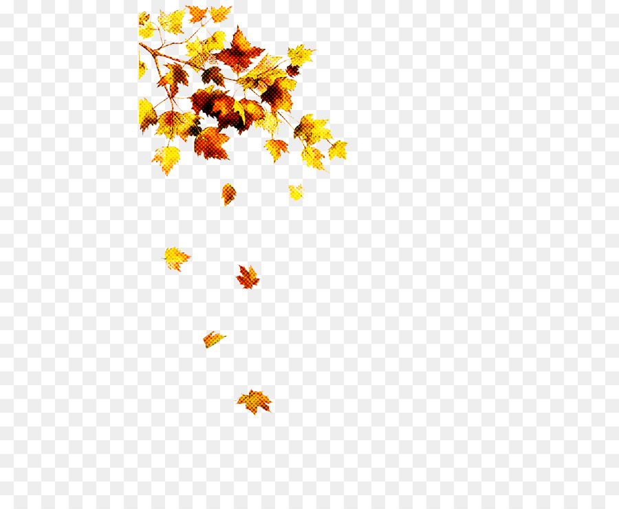 Feuilles D'automne，Automne PNG