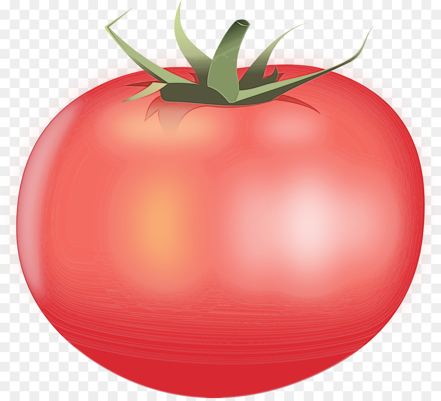 Tomate，Fruit PNG