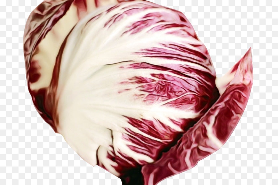 Plume，Rose PNG