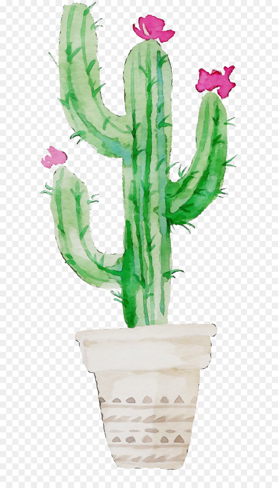 Cactus，Pot De Fleur PNG
