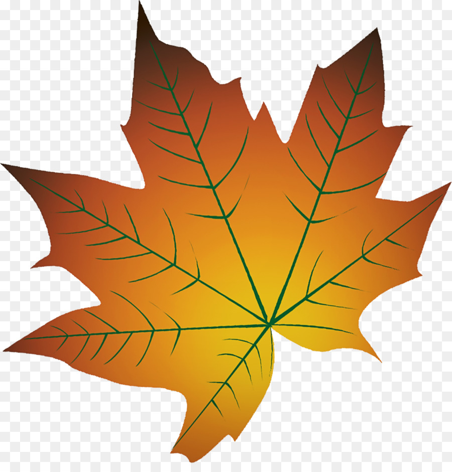 Feuille，Automne PNG