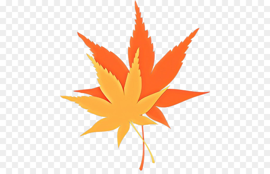 Feuilles D'érable，Automne PNG