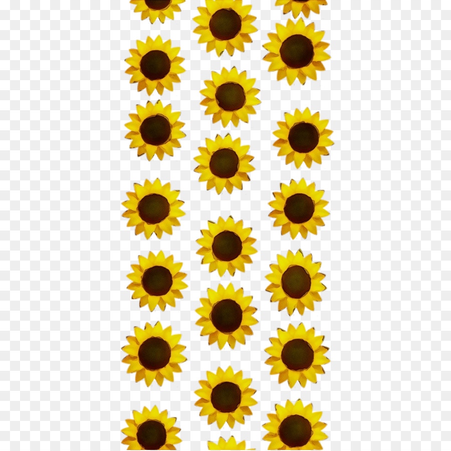 Tournesol，Jaune PNG