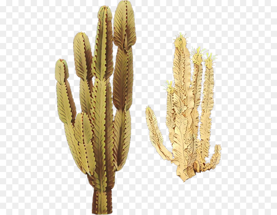 Cactus，Désert PNG