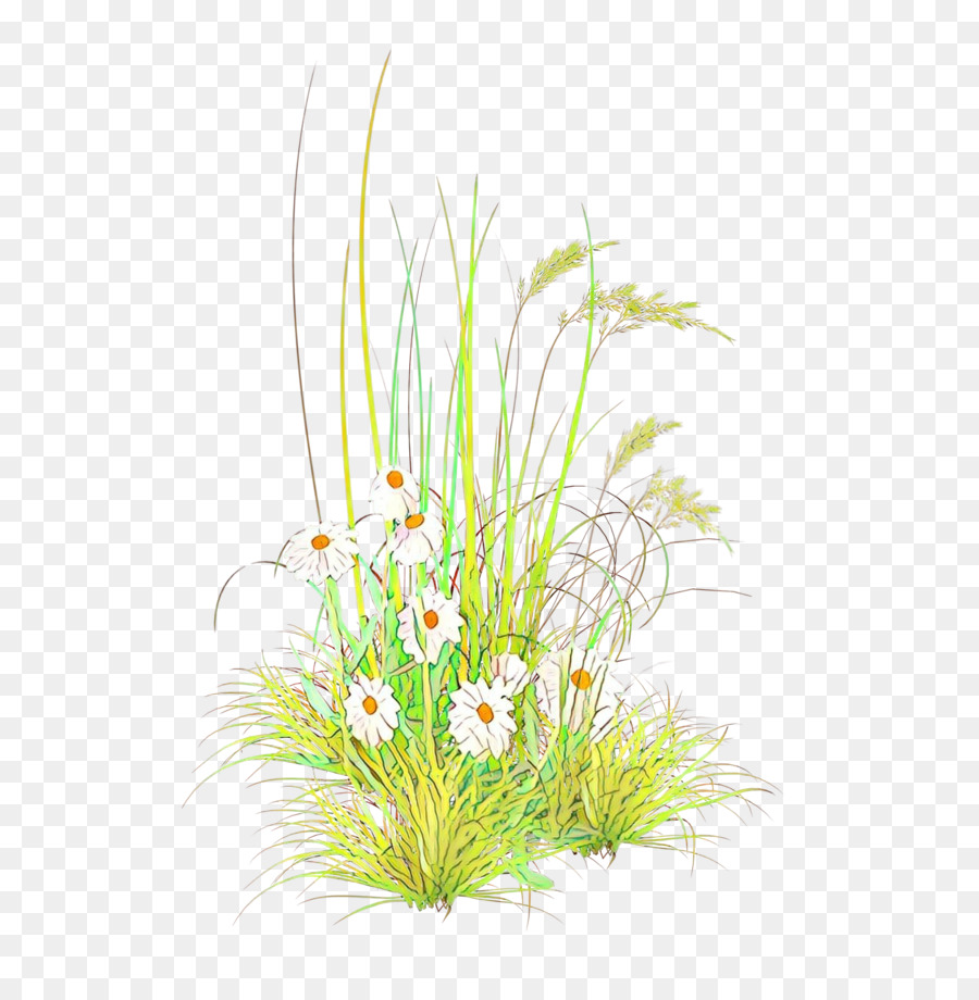 Herbe，Décor D'aquarium PNG