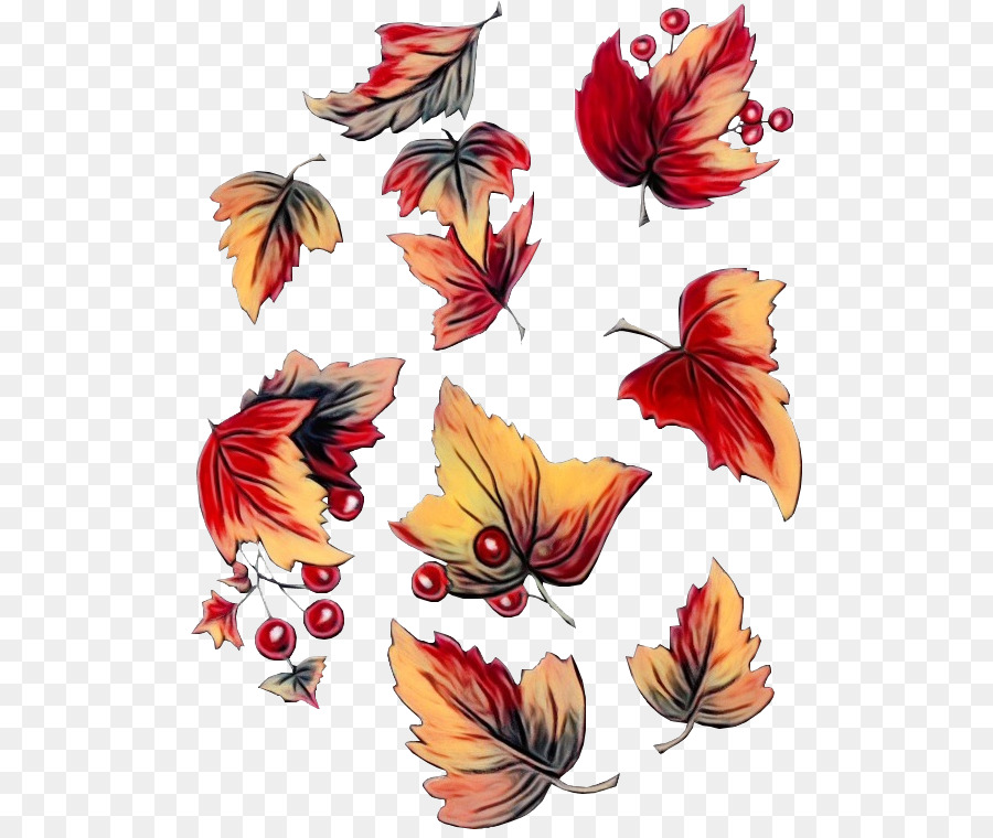 Papillon，Feuille PNG