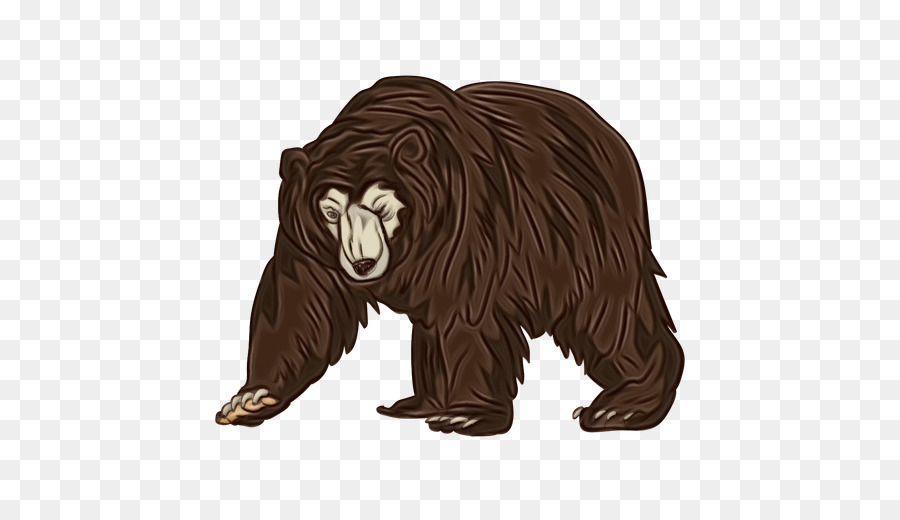 Grizzli，Ours PNG