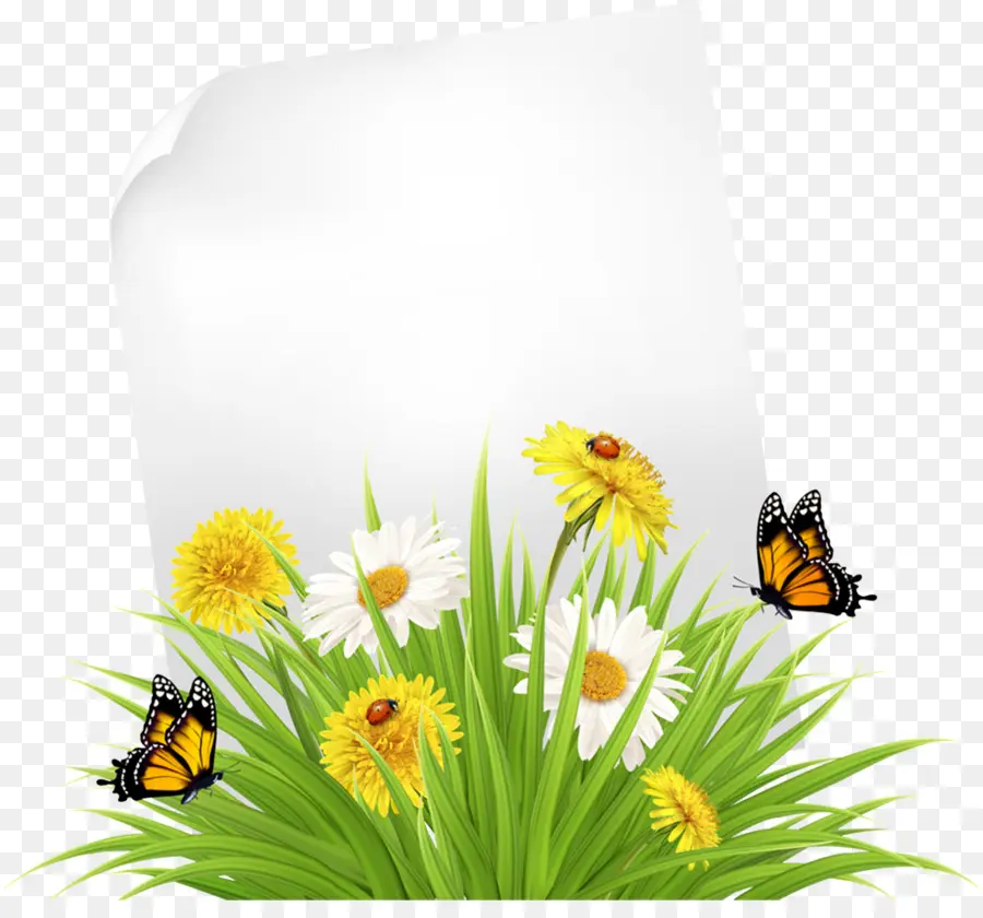 Fleurs Jaunes，Papillons PNG