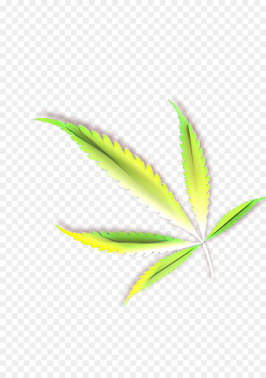 Feuille，Vert PNG