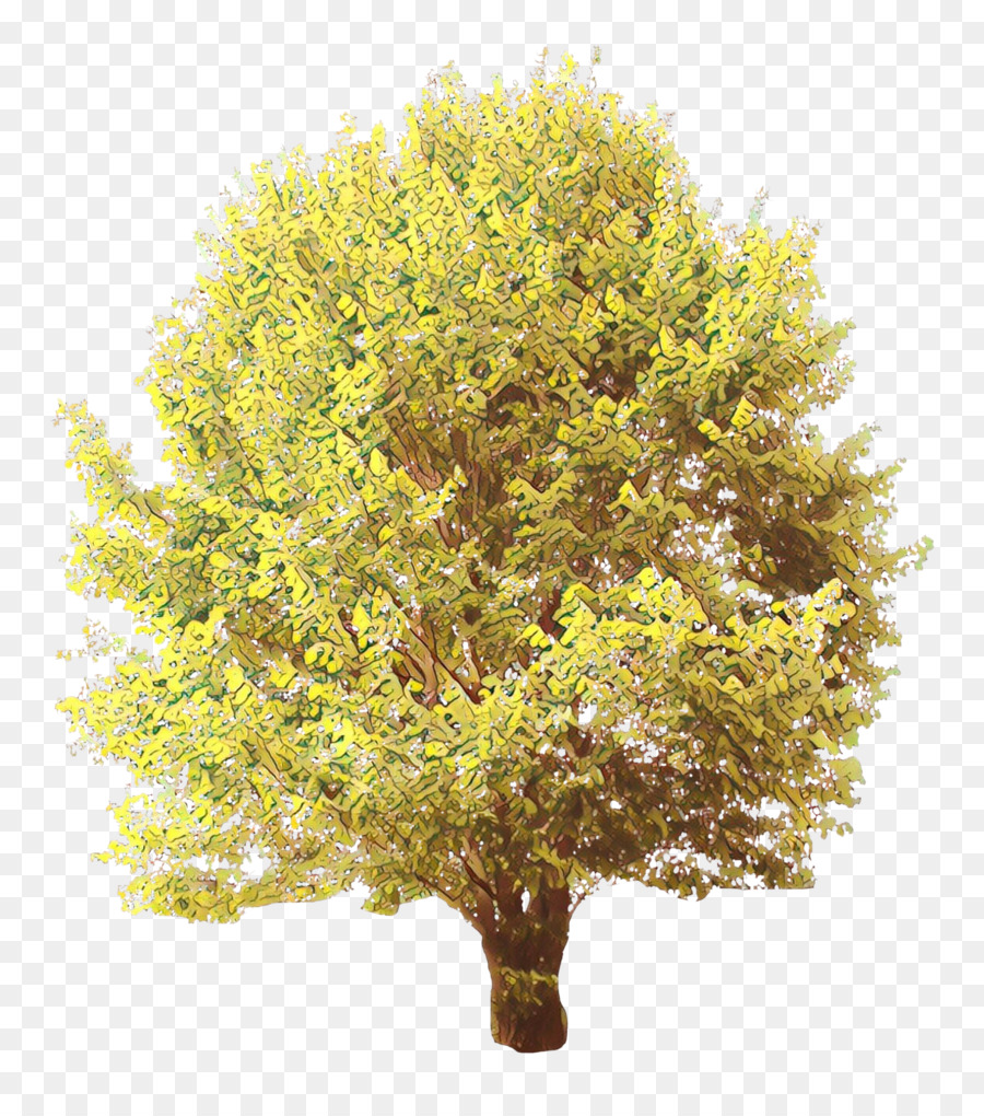 Arbre，Usine PNG