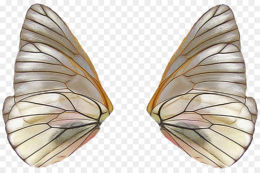 Insecte，Papillon PNG