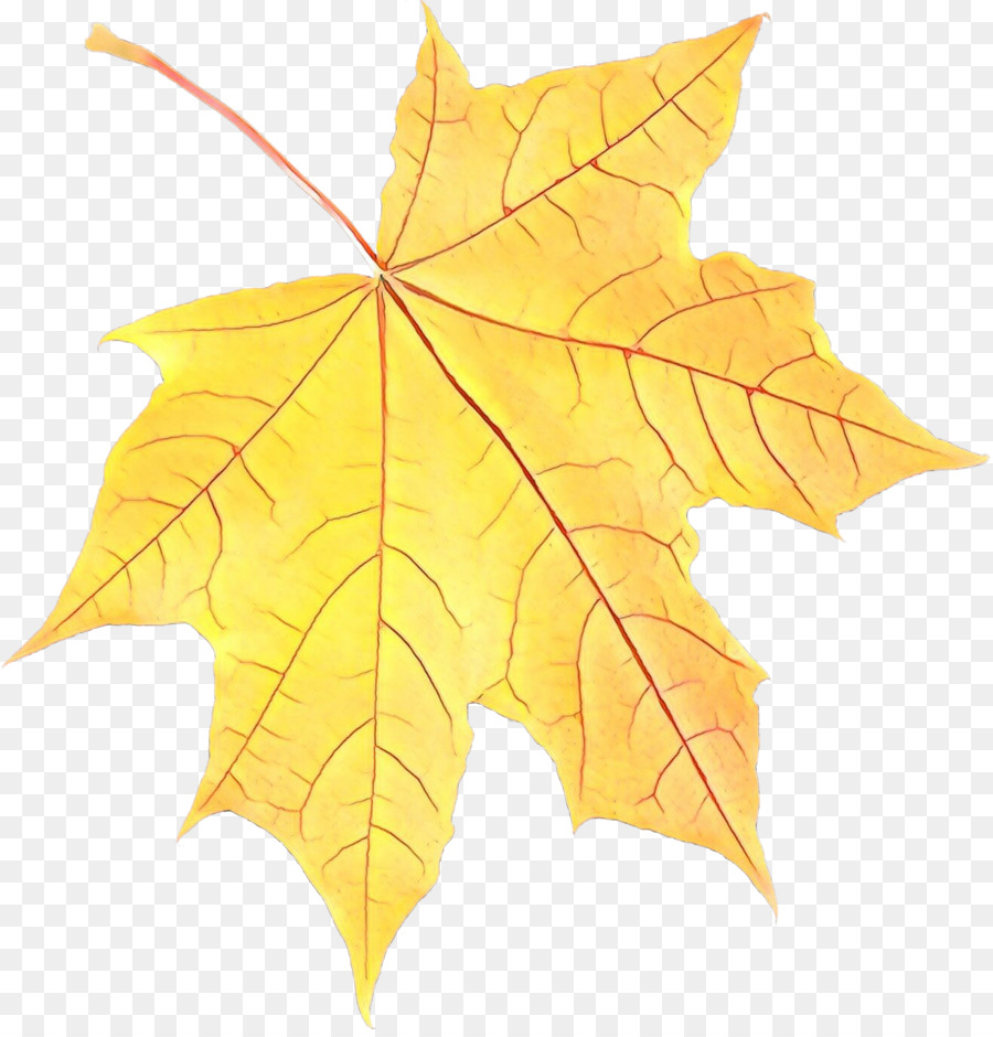 Feuilles Jaunes，Automne PNG