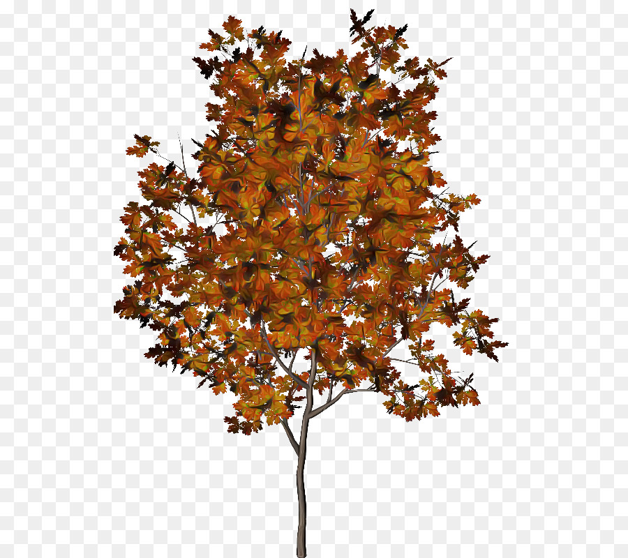 Arbre，Usine PNG