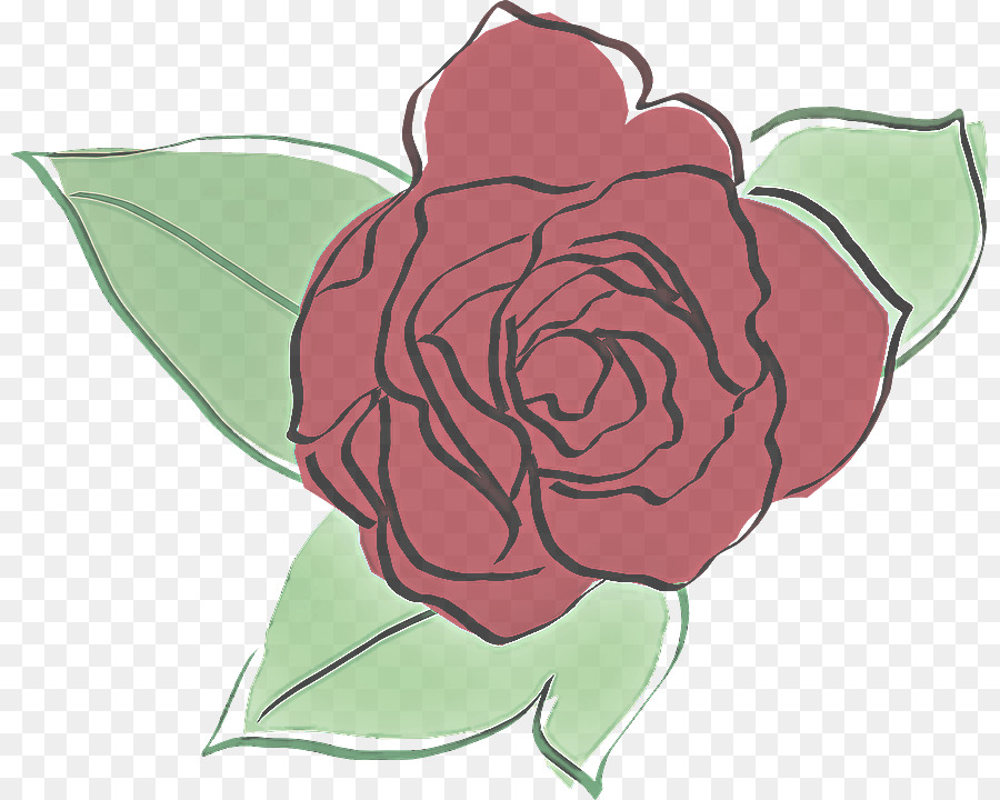 Roses，Floraison PNG