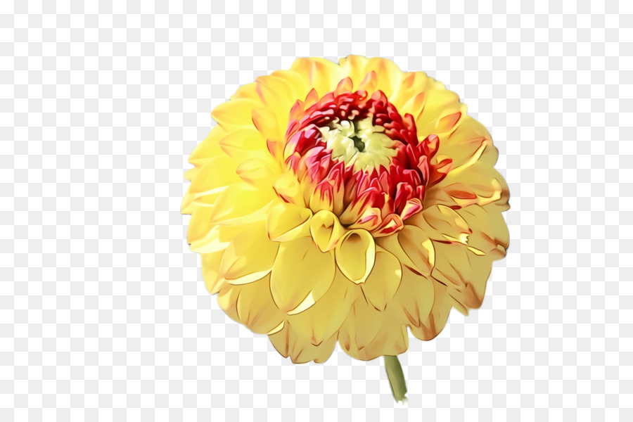 Fleur Rose，Fleurir PNG