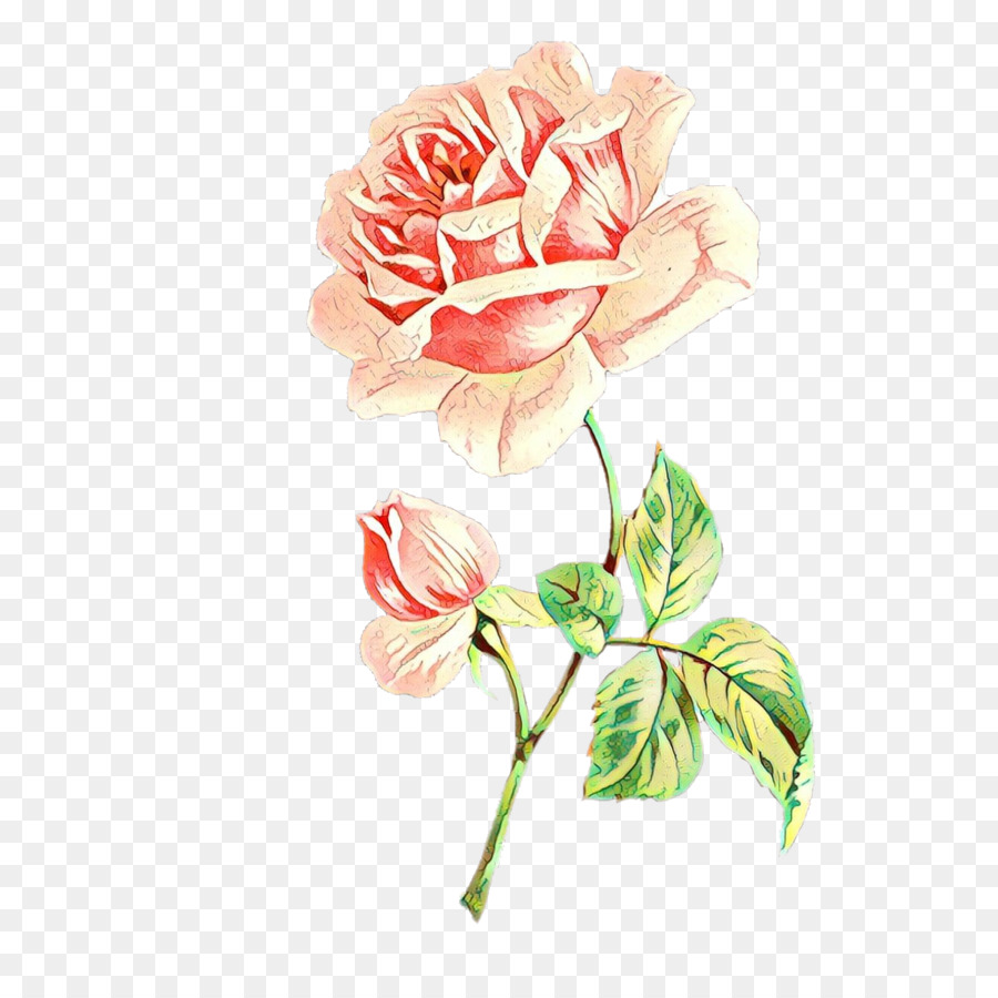 Rose Rose，Feuilles Vertes PNG