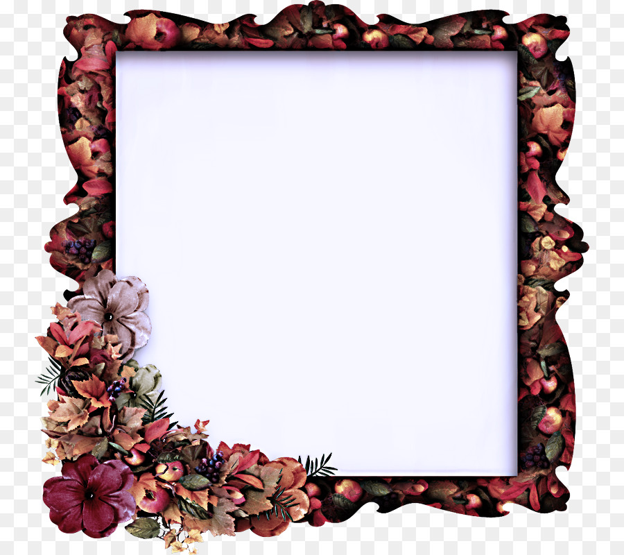 Cadre De L'image，Rose PNG