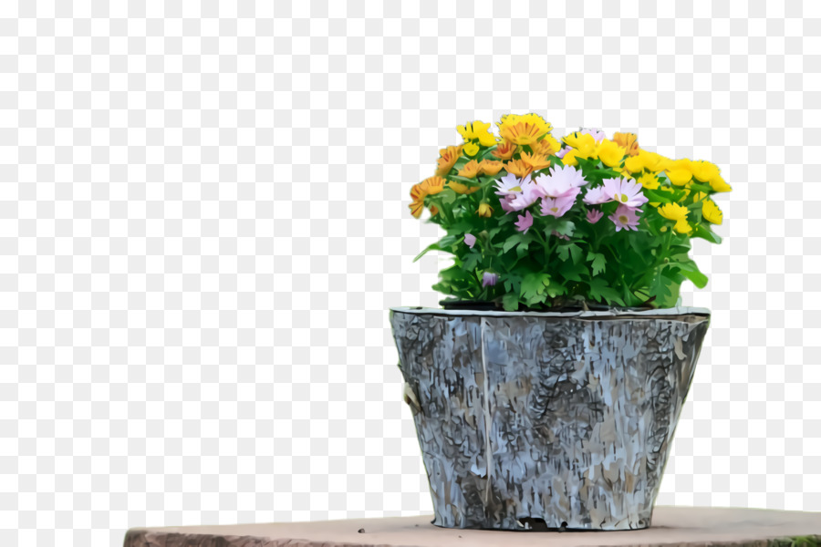 Pot De Fleur，Fleurs PNG